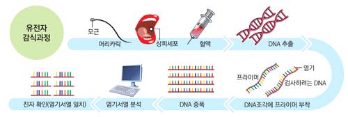 바이오 유전체분석 1. 개요 가.