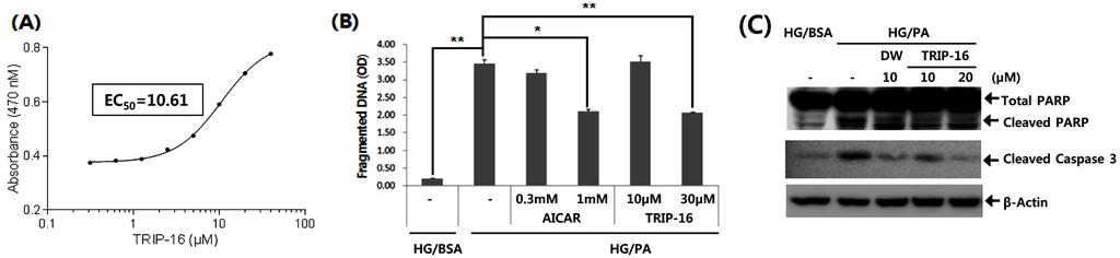 330 박선미 정대연 구진모 황윤정 최성이 강엽 정귀완 Table I Sequences of primers used for quantitative real-time PCR Gene Primer Sequence (5' to 3') Forward CATGTCAAGCCAGACGAAGA CPT1a 20) Reverse TGGTAGGAGAGCAGCACCTT