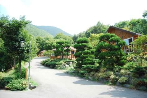 44. 대운산자연휴양림 ( 양산 ) 소개자료 m 양산8경중하나인대운산에위치한대운산자연휴양림은주변풍취가뛰어난곳에위치해있다.