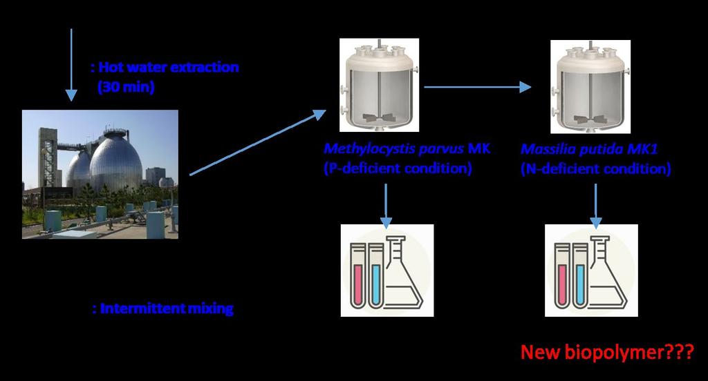 Research Activity 농업부산물을이용한고부가가치바이오플라스틱원료물질생산기술개발 김문경 연구배경기에적용하여지속적으로바이오가스를생산하는시스템을구축한다. 연속식혐기성반응조내기질의전처리, 교반석유계자원의고갈과폐기물해양투기를금지하는런던협속도등의변화를통해메탄가스생산최적운전조건을도약등에의해폐기물자원화기술이세계적으로요구되고출한다. 있다.