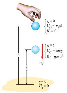 06 학년도 CAU 신입생아카데미기초물리학 역학적에너지보존의법칙 - 예제 ( 자유낙하하는공 ) 그림과같이질량이 m