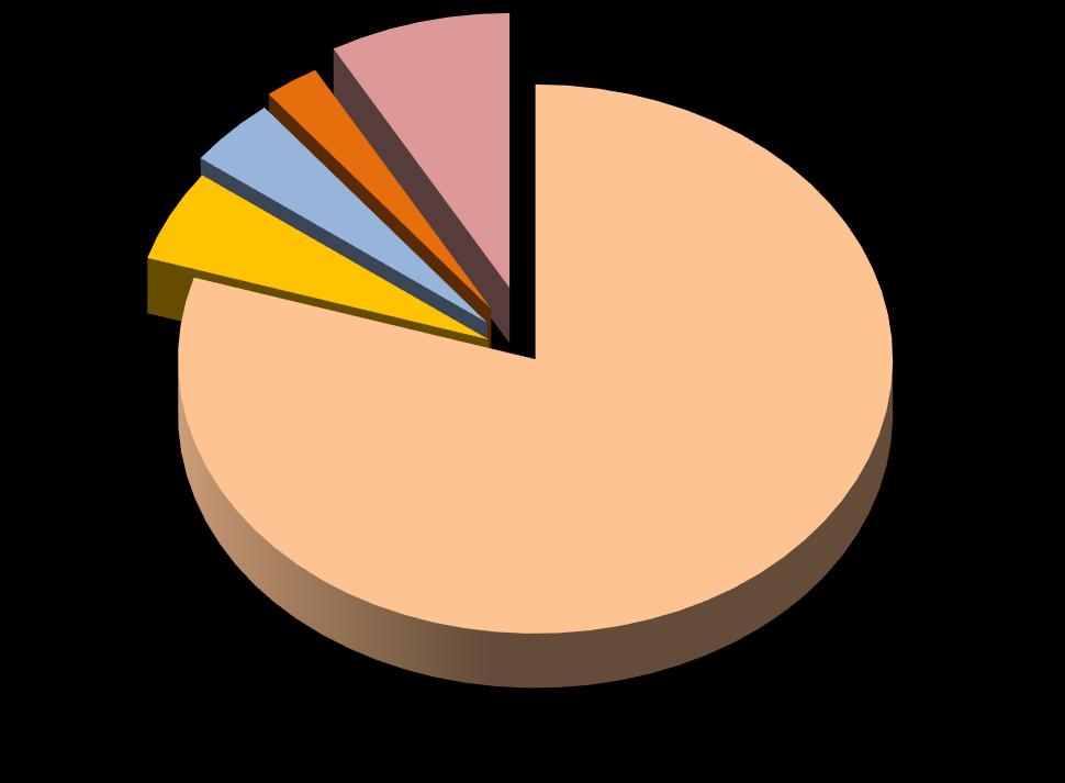 아동학대의원인, 사랑이라는이유로? 교재 9 쪽 아동복지시설종사자 1.2% 친인척 4.