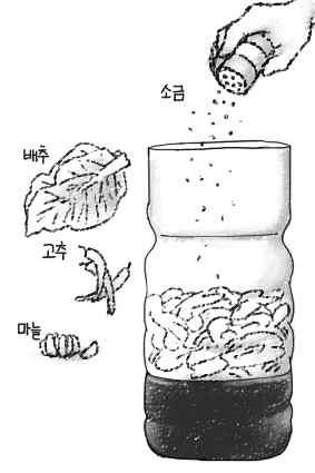 실험준비물 1.5L 페트병 1 개, 지름 9 cm의플라스틱원판 1 개, 배추 1 통, 고추가루약간, 마늘약간, 소금 20g, ph 측정지 1 통, 칼, 가위 실험방법 1. 상표를제거한페트병의윗 부분을자른다.