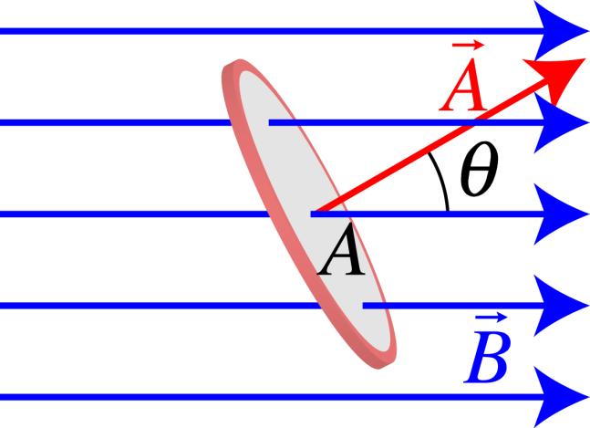 특별한경우로일정한자기장에서 면적 A 의평평한고리를생각해보자. 자기다발 : B BAcos 는고리표면의수직벡터와자기장선 사이의각도이다.