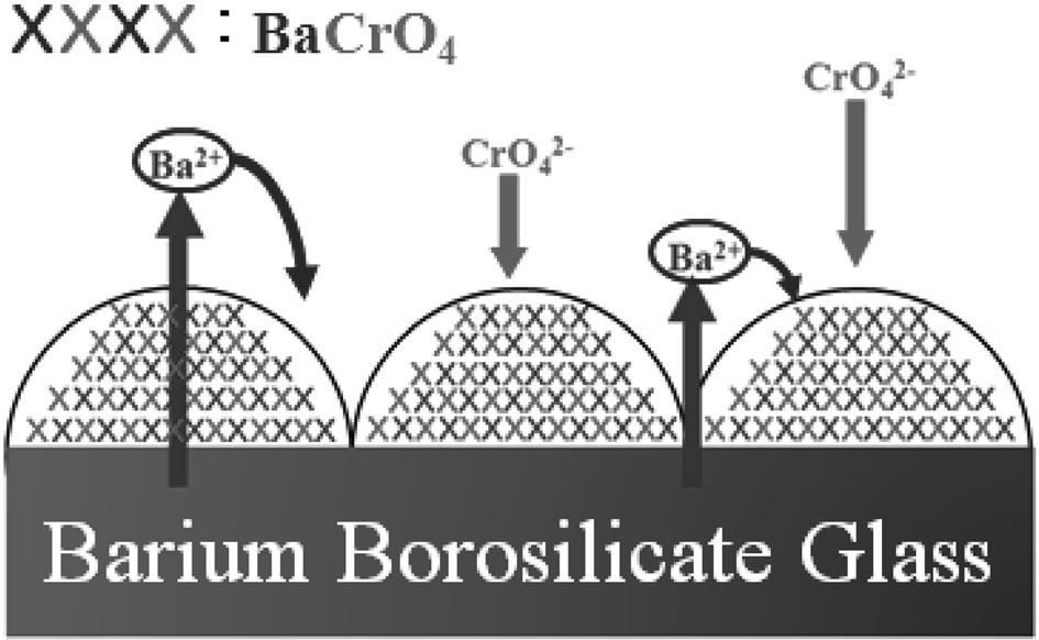 알칼리토금속산화물이함유된붕규산염계유리를이용한용액중 Cr 6+ 이온제거기구 225 Fig. 4. Schematic diagram for the mechanism of Cr 6+ removal. ion 있다.