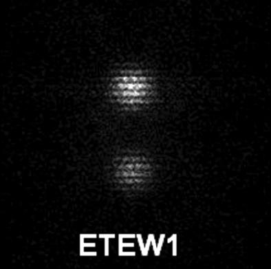 식 1, 2는 TEW와 ETEW 각각산란선추정을위한식을나타낸다.