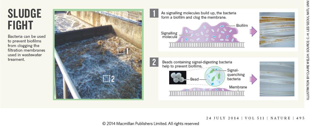 Nature, Technology Feature, STOP THE MICROBIAL CHATTER Vol.