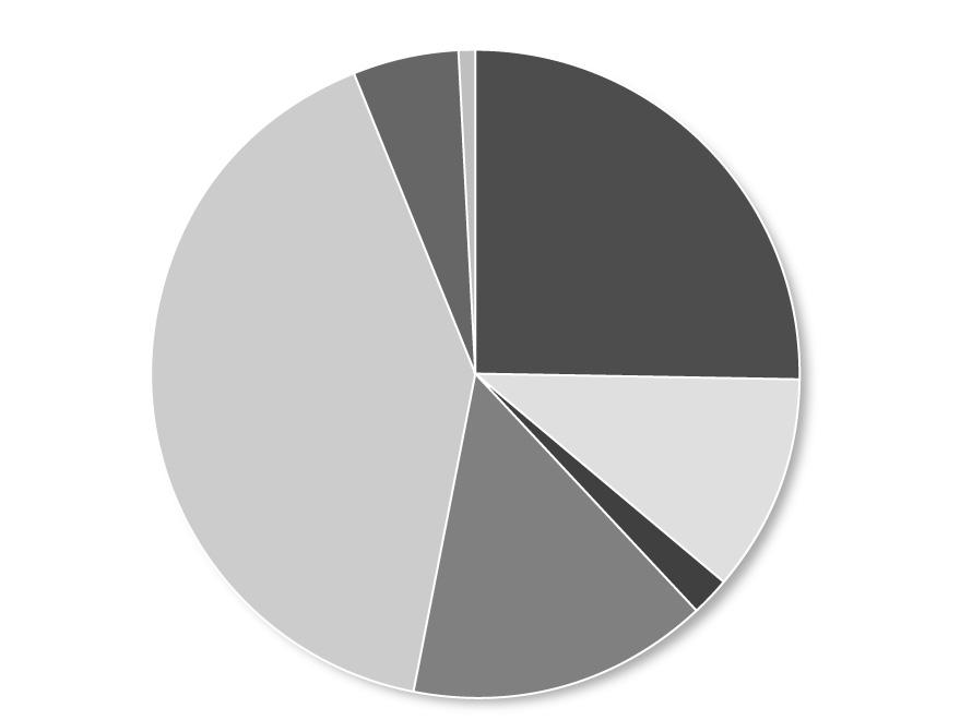 < 아르헨티나의료기기및의료용품별수입비중 > 기계요법기기 (HS 9019) 5.1% 기타호흡용기기 (HS 9020) 0.7% 의료용기기 (HS 9018) 40.7% 정형외과용기기 (HS 9021) 25.3% 엑스선기기 (HS 9022) 10.8% 의료용품 (HS 3006) 14.8% 탈지면, 붕대 (HS 3005) 1.