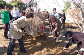 삼도만에서온진달래 지난 3 월 27 일, 중국길림성의한산간마을은온통눈천지였다. 겨울이이미지난때라하지만여전히눈보라가일고령하 30 의대기는산과들을꽁꽁얼구어놓았다. 바로그속에서서로서로부축이며힘겨웁게생눈길을헤쳐가는사람들이있었다. 심홍광, 리희웅, 김계순, 김길선, 지명도, 지만금 중국동북지역의삼도만을향해길떠난재중동포청년들이였다. 그때로부터보름후그들이평양을찾았다.