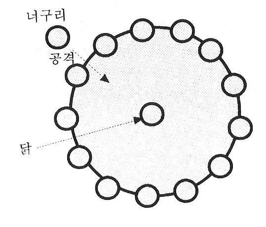 926 민속놀이 (5) 닭잡기놀이 여러 명의 아이들이 가위바위보를 하여 맨 꼴찌가 닭이 되고,다음 꼴찌가 너구리가 된다.나머지 아이들은 손을 잡고 둥그렇게 둘러서 닭장을 만든 다음 닭으로 정한 아이를 그 가운데에 들어가게 한다.아이들이 손을 잡고 원을 만든 채 빙글빙글 돈다. 이때 너구리가 다가와 닭에게 말을 건넨다.