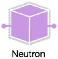 Neutron integration