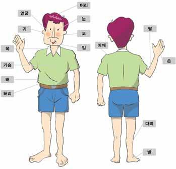 246 여성결혼이민자와함께하는한국어교원용지침서 2 14 과목이아파서말을하지못해요 어휘활용 Ⅰ. 다음그림을보고 < 보기 > 에서알맞은단어를골라쓰세요. < 보기 > 허리배발팔손입눈어깨다리머리 1) 4) 7) 2) 5) 6) 8) 3) 9) 10) Ⅱ. 에알맞은말을쓰세요. 아프다다치다소화가안되다어지럽다걸리다 1) 가 : 팔이왜그래요?