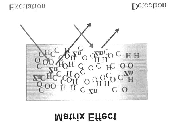 Fig. 3. X matrix.