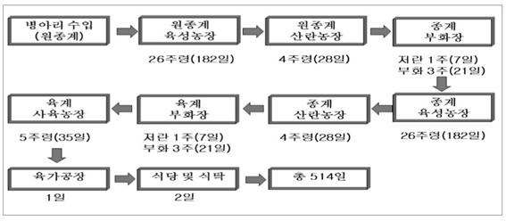 예를들어, 원종계끼리교배하여종계를낳고, 종계끼리교배하여육계를낳는것입니다.