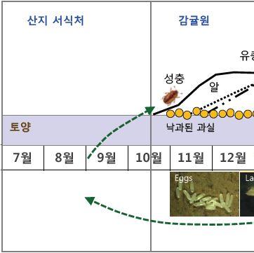 애넓적밑빠진벌레의이주행동과연간생활사 (Jand and
