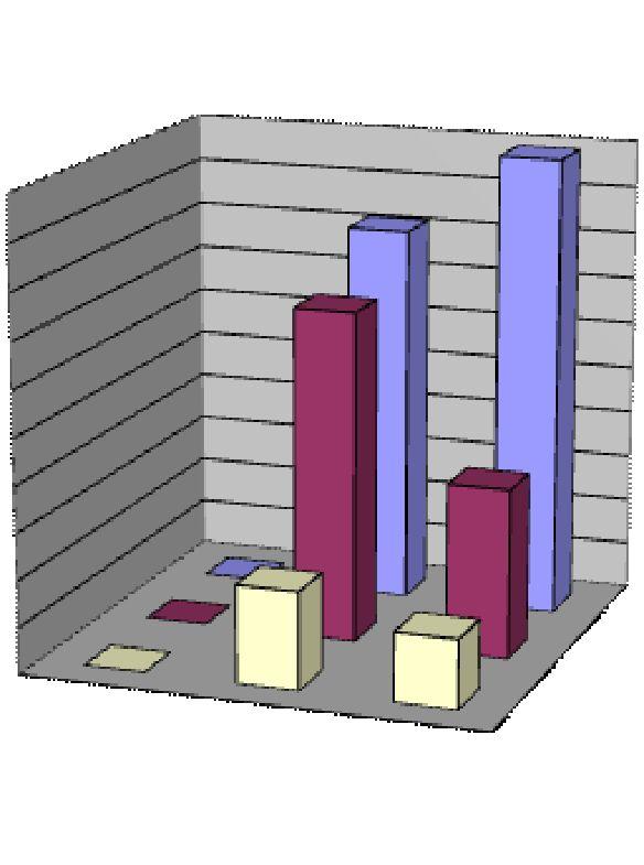 Requirements - RAT Group #2 SPECTRUM VOLUME in MHz 500 450 400 350 300 250 200 150 100 50 0 Dense Urban Sub