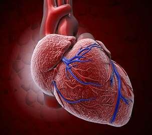 부정맥의원인과종류에대해알고, 설명할수있다. 종류에따른검사소견과결과를구분하며치료법을 1. 부정맥이중요한이유 맥박의이상은심장박동에이상을주고, 이는곧심장기능이상으로연결된다. 심장마비는거의악성심실빈맥성부정맥에의해일어난다. 부정맥이심한경우혈압을떨어뜨려심장마비로급사하게된다. 심장의자극생성이나전도이상은심근경색, 고혈압같은합병증으로발생된다.