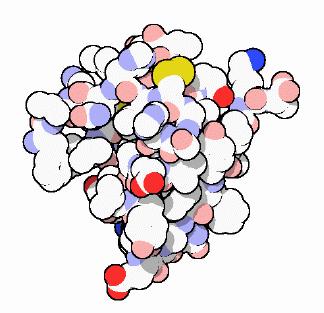 Sector Report 2) 1 세대바이오의약품 VS 2 세대바이오의약품 바이오의약품은개발시기와세포주의종류등으로 1 세대와 2 세대로구분하기도한다. 1 세대바이오의약품 박테리아, 효모, 곰팡이등에서배양하여추출하는인슐린, 성장호르몬및백신등인데, 1982년미국의 Eli-Lilly 가출시한유전자재조합인슐린 Humulin 이최초의 1세대바이오의약품이다.