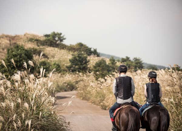 렛츠런 Together 렛츠런 Riding 렛츠런 Culture 렛츠런 Life 24 25 이미경마선진국에는보편적으로퍼진마주 누구나참여할수있는경마문화 다함께즐기는경마를위해낮춘문턱 국민마주제 한국마사회는말을사랑하는대중이마주에대한고정관념을깨면서경마를즐기는또다른방안으로국민마주제를실시하고있다.