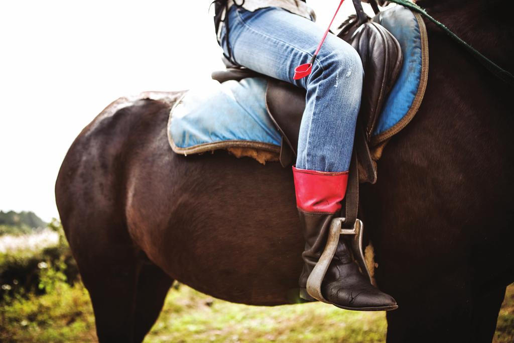 말 위의 건강학 렛츠런 Riding 렛츠런 Culture 렛츠런 Life 32 33 허벅지 근육 강화가 무릎 관절 보호의 시작 나이가 서른 중반이 넘어가게 되면서 누구나 근육량이 줄어들 수밖에 없다. 특히 노화 과정에 따라 무릎 건강 에 필수적인 허벅지 근육 또한 없어지게 된다.