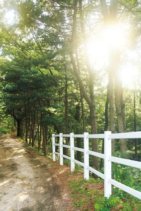 3 목 마길을다니면서각나무참마다스탬프를모을수있다. 3 1 목 마길가는길 벚나무참 ( 총거리 : 1.