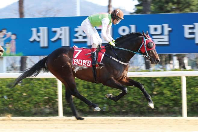 부산일보배, SBS스포츠스프린트, 코리아스프린트로이루어진스프린트시리즈는최강단거리경주마를뽑는시리즈경주다.