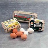 조리중에는손을자주닦고식기행주나부엌행주도자주바꾼다. è 달걀달걀은살모넬라에쉽게오염될수있다.