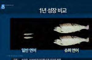 연구를거듭하면서자연환경에대해서예측하는것은매우불확실하다는것을알게되었다. 한국은캐나다의데이터를그대로사용해서안된다. 환경에대한영향, 부작용은무엇인지일반적인원칙을참조하면좋을것같다. Dr. Robert Devlin ( 캐나다해양수산부 ) ( 미국 FDA의 ) GM연어의승인나기까지심사기간이짧은것으로보이는데성급한것은아닌가? A. GM연어평가기간은오래걸렸다.