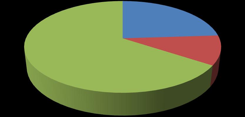 < 그림 1> 플랜티넷주주구성 최대주주 ( 김태주대표 ) 23.52% 기타 68.69% 특수관 계인 7.