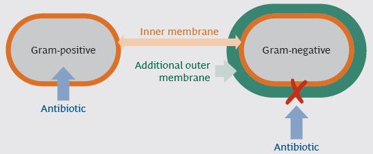 0 Fluoroquinolones 20.0 Penicillins 10.