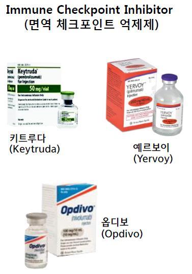 항암바이러스제 - 면역항암제와항암바이러스제의시너지가능성 [ 그림 58] 시판되고있는면역항암제 ( 면역체크포인트억제제 ) 암세포와면역체계간의특정신호경로를공략하여항암면역반응을일으키는신규면역치료제 ( 항 PD-1, PD-L1, CTLA-4 등 ) 보통 Hot Tumor(