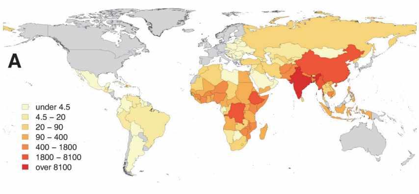인도에서는 35% 의공수병사망률을보이며, 다른국가들보다현저히높다 ( 그림 52A). 그러나일인당사망률은사하라사막이남의아프리카에서가장높다 ( 그림 52B). 광견병은백신으로 100% 예방이가능한질병이다.