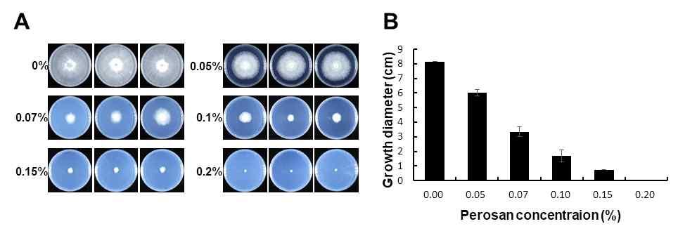 Fig. 2-8. Growth inhibition of Rhizoctonia solani AG-1 (R. solani) by agar dilution method. (A) 6.5 mm diameter of mycelial agar discs were prepared from edge of the growing R.