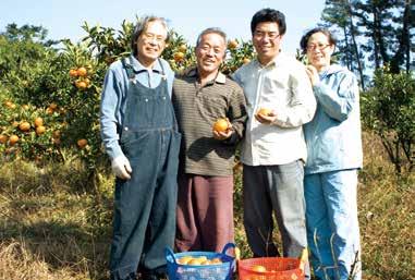 정상적인시기에수확된한살림귤은 3차례에걸친선별작업을통해조합원들에게전달되어향긋하고달콤한맛을선사하게된다.