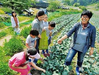 조합원자주점검회원생협조합원들이 16개자주점검활동팀을구성해, 생산지에대한자주점검활동을실시하고있습니다. 자주인증일반적인농사기술로는무농약재배가어려운과일등일부품목에대해한살림이정한생산출하기준에따라재배합니다. 제초제와생장조절제는일절사용하지않고유기합성농약과비료는정부에서적용하는기준보다훨씬엄격하게제한해서사용하는한살림자주인증제도를실시하고있습니다.