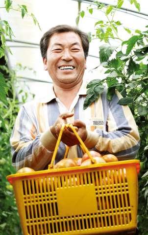 토마토를기르며수확시기를조절하고, 과실의크기를키우기위한성장조절제도사용하지않는다. 따라서토마토의크기가작을수있지만속은알차고탄력이좋다. 한살림토마토는가장맛있는상태일때조합원들에게전달하기위해 80% 이상완숙된토마토만을수확해공급한다.