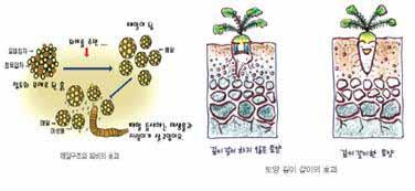 ㆍ활동지 학생 활동 2.