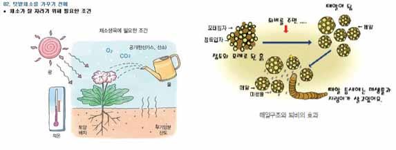 3. 학교텃밭활동의방향 ㆍㆍ학교ㆍ텃밭은ㆍ일반적인ㆍ텃밭ㆍ활동과는ㆍ달리, ㆍ수확물ㆍ획득이ㆍ주ㆍ목적이ㆍ아닌ㆍ과정ㆍ관찰, ㆍ관리와ㆍ돌보는ㆍ기쁨, ㆍ수확물ㆍ활 용ㆍ등과ㆍ같은ㆍ학생과의ㆍ교감과ㆍ교육적ㆍ목적을ㆍ충분히ㆍ누리는ㆍ과정지향적ㆍ활동을ㆍ주로ㆍ할ㆍ수ㆍ있도록ㆍ한다. ㆍ -ㆍ생태적인ㆍ농법을ㆍ중심으로ㆍ최대한ㆍ자연과ㆍ가까운ㆍ방식으로ㆍ한다.