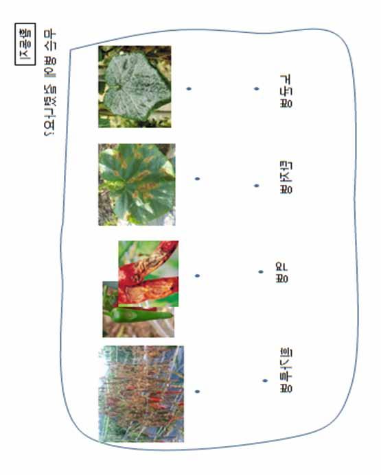 학생용활동지 무슨병에걸렸나요?