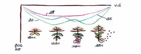 석회비료 조직을ㆍ단단하게ㆍ하는ㆍ성분으로ㆍ산성흙을ㆍ교정하고ㆍ석회ㆍ자체를ㆍ비료로ㆍ사용한다. 옆면살포제 비료성분을ㆍ물에ㆍ녹인ㆍ후ㆍ분무기나ㆍ가정용ㆍ스프레이로ㆍ잎에ㆍ뿌려서ㆍ잎을ㆍ통하여ㆍ흡수가ㆍ가능한ㆍ액체ㆍ상태의ㆍ비료 이다. ㆍ 3. 식물이자라는시기에따른비료 1 식물은몸체가자라는영양생장기간과꽃이피고열매가달리는생식생장기간두가지로생육단계를나눌수있다.