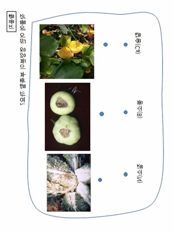 학생용활동지 작물에어떤영양분이부족할까요? section 3.