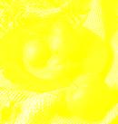(Magenta), 노랑 (Yellow) B G