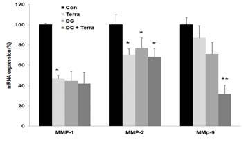 46 % 로나타나, DG군과 DG + Terra군에서는감소를나타내었으나유의성은없었다 (Fig. 11). Fig. 13. Effects of DG extract and terramycin on levels of monocyte in the blood of wound-induced Rats. The results are expressed as mean±s.d.(n=6).