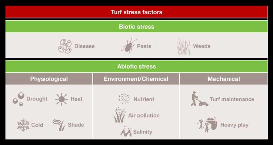 잔디는수많은스트레스에노출되어있습니다.