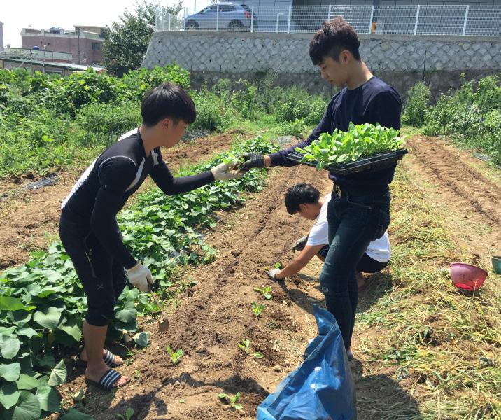 복지관벽화봉사활동, 김장프로젝트, 농활활동, 금연캠페인, 재능마켓등의봉사활동