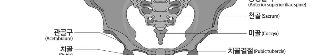 20 이상인경우다 ) 미골의기형은골절이나탈구로방사선검사로측정한각 ( 角 ) 변형이 70 이상남은상태 3) 빗장뼈 ( 쇄골