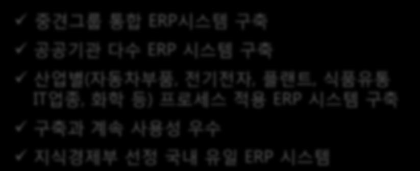 전기전자, 플랜트, 식품유통 IT 업종, 화학등 ) 프로세스적용 ERP 시스템구축