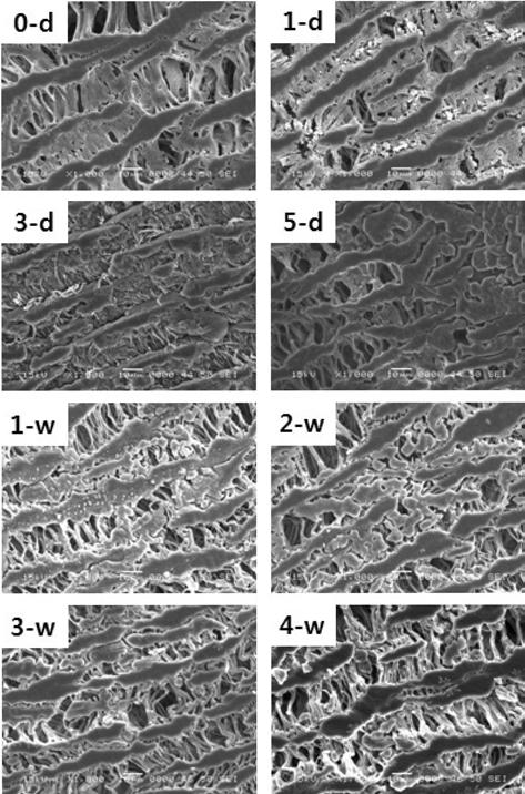 330 임순용 김철주 김은진 권오경 권오형 Figure 5. Cumulative release of paclitaxel from the inner surface of modified eptfe grafts as a function of incubation time at 37 o C water bath.