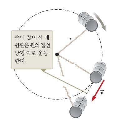c ( 구 o 원의중심방향 ) - 구심력 (Centipetal oce) : ( 수평원운동 )