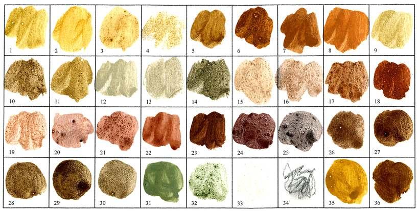 2.2. 안료 ( 顔料, Pigment) 물이나기름, 용제에녹지않는무채또는유채의분말가루로무기화합물 6) ( 무기안료 ) 또는유기화합물 7) ( 유기안료 ) 이다. 안료는수천내지수만의색소분자로구성된일정한크기의입자로크기가 0.3 ~40μm에이르는것도있다. 또한형상도구형, 막대모양, 바늘모양, 박편상등 II 구성요소및특징 여러가지가있다.